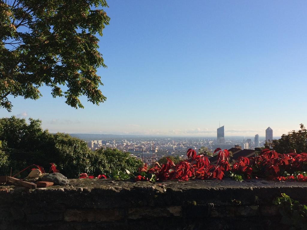 Le Jardin De Beauvoir Lyon Buitenkant foto